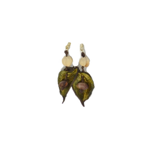 Aretes de 1 hoja seca